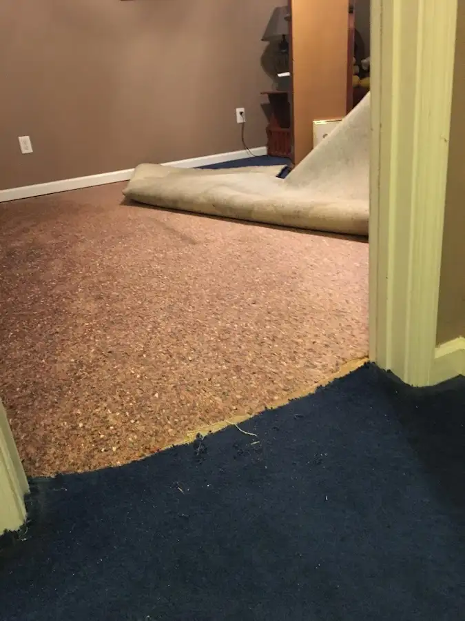 Carpet pad removal revealing water damage during Water Mitigation Services in West Plains
