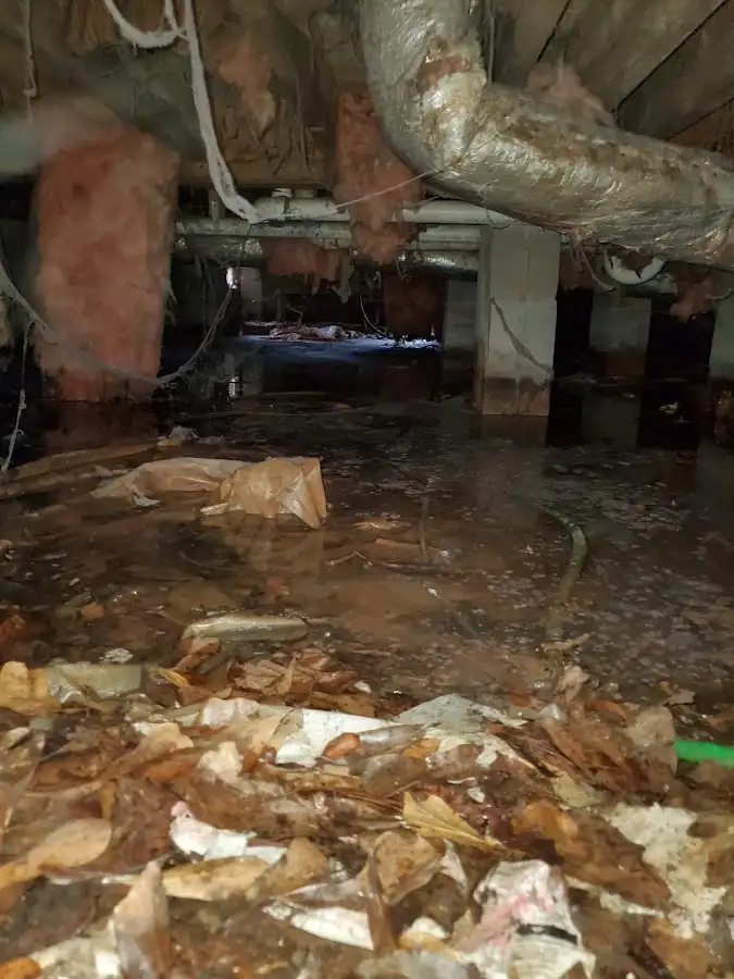 Crawl space flood assessment for Commercial Water Damage Restoration in West Plains