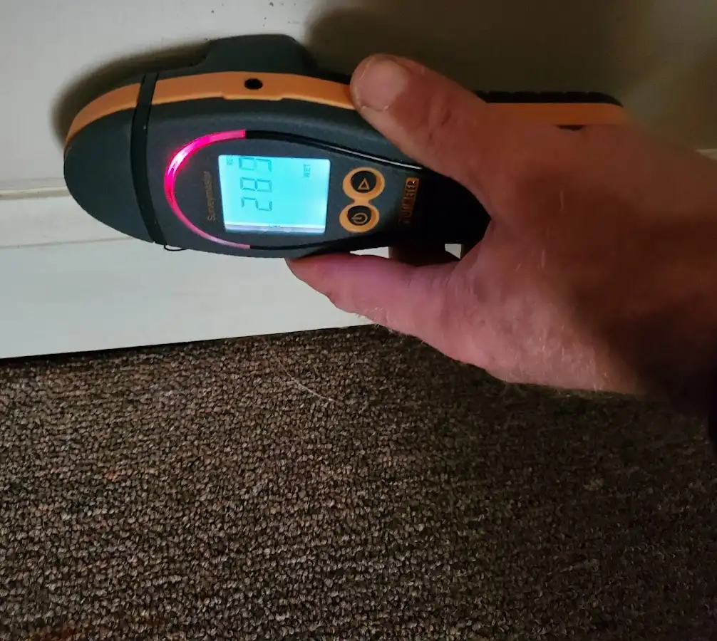 Moisture detection at baseboard during Sewage Cleanup & Sanitation in West Plains
